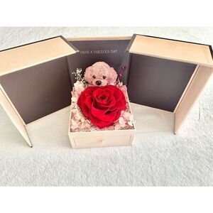 Preserved rose light pink teddy bear box with jewelry tray drawer ￼